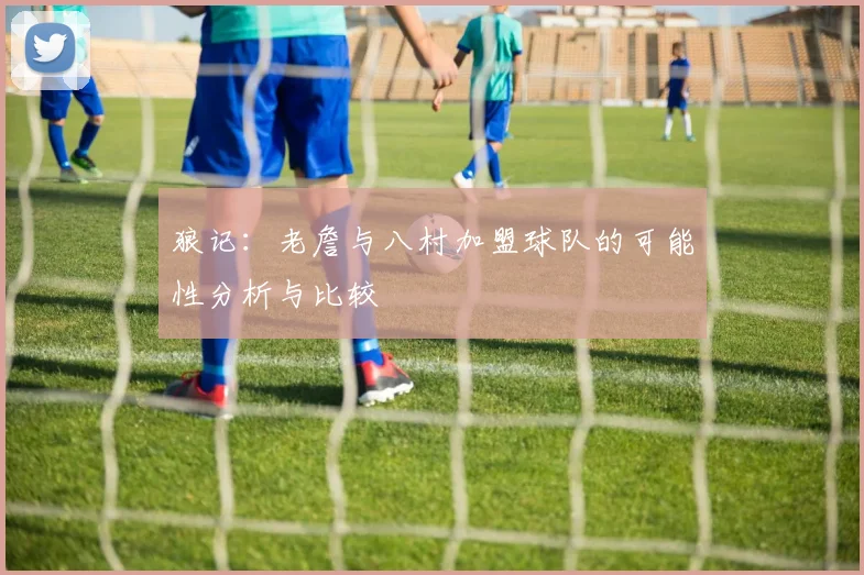 狼记：老詹与八村加盟球队的可能性分析与比较