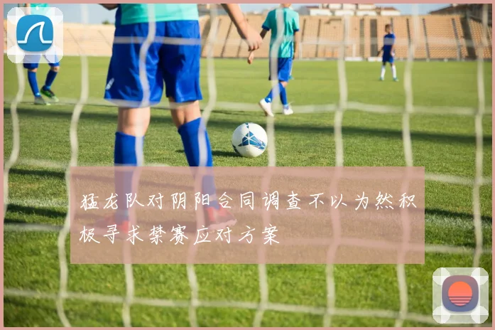 猛龙队对阴阳合同调查不以为然积极寻求禁赛应对方案